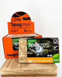 Premium New Zealand sphagnum moss for moss poles, propagation and root rescue
